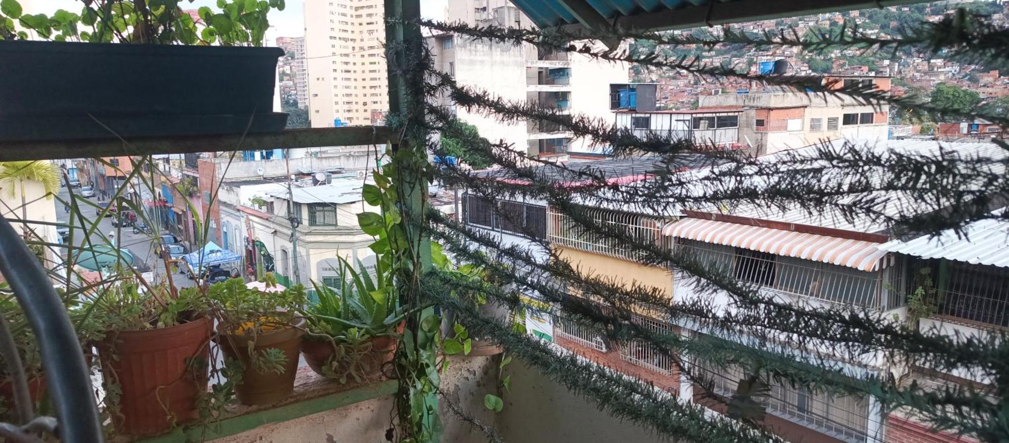 Hotel Don Gato Caracas Exterior photo